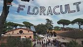 Tra i fiori