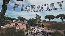 Tra i fiori