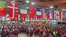 Campionato mondiale di agility
