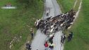 La transumanza in Molise