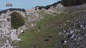 Una montagna di natura