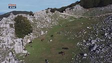 Una montagna di natura