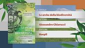 Il Can-piello
