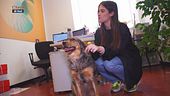 Pet in facoltà