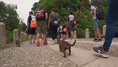 La Strabassotti a Monza