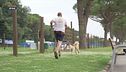 L'Educa-cani
