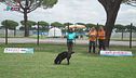 L'Educa-cani