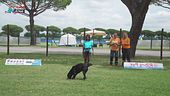 L'Educa-cani
