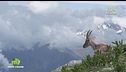 Puntata del 30 giugno