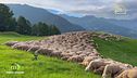 Puntata del 15 settembre