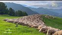 Puntata del 15 settembre