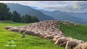 Puntata del 15 settembre