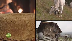 Puntata del 7 gennaio