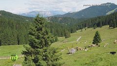 Puntata del 14 gennaio