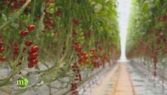 Puntata del 4 febbraio