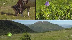 Puntata dell'8 settembre