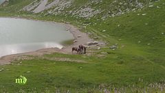 Parco Orobie Bergamasche