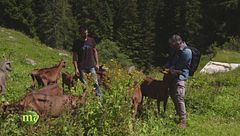 Un progetto per due fratelli