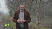 Zampone e cotechino