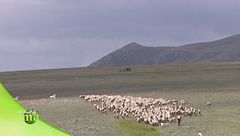 Puntata del 1 settembre - Prima parte