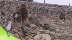 Puntata del 15 settembre - Prima parte