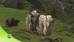 Puntata del 29 settembre - Seconda parte