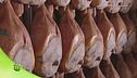 Puntata del 13 ottobre - Seconda puntata