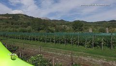 Puntata del 27 ottobre - Seconda parte