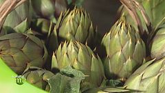 Puntata del 10 novembre - Prima parte