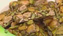 Il pistacchio e le sue specialità
