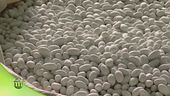 Il mondo dei confetti