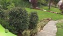 Trapianto di alberi e rotoli di prato