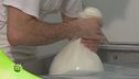 La trasformazione del latte di bufala