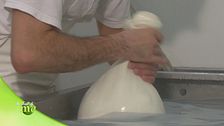 La trasformazione del latte di bufala