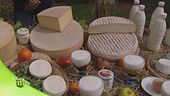 I prodotti dell'Agrigelateria