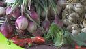 Sapori di Calabria