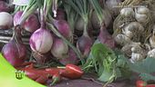 Sapori di Calabria