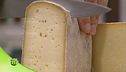 Il formaggio Raschera