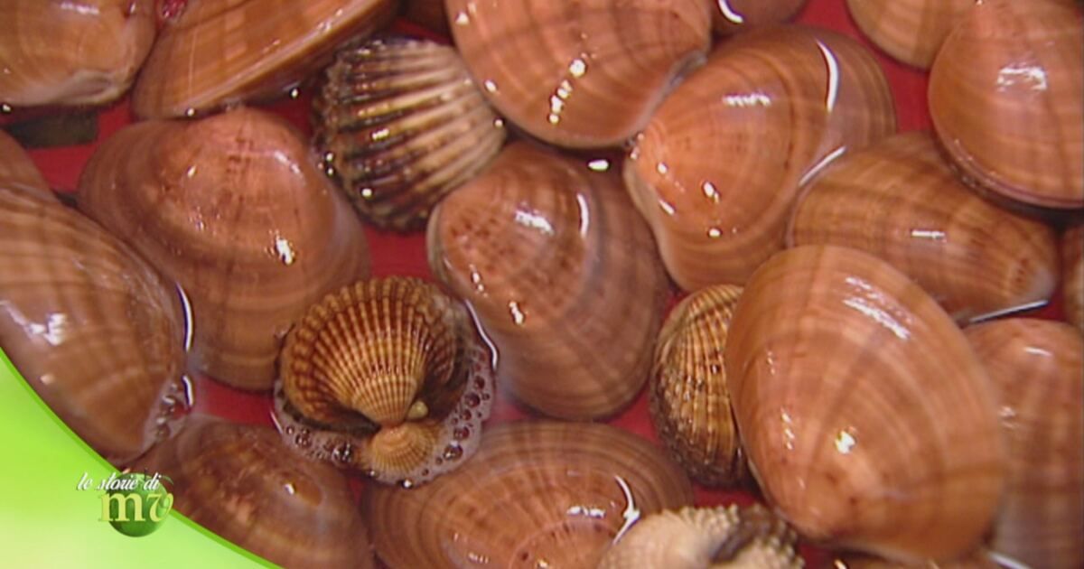 Le storie di Melaverde: I frutti di mare Video | Mediaset Infinity