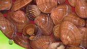 I frutti di mare