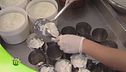 La ricotta Forte