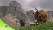 Eroi della montagna