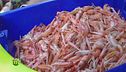Scampi irlandesi