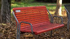 Racconti di libertà - Donne che rompono il silenzio