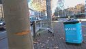 Milano, tende un cavo sulla strada