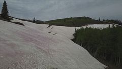 Verso inverni senza neve