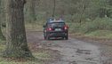Sbranato dai cani mentre fa jogging