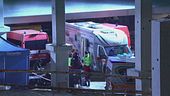 Firenze, trovata la quinta vittima
