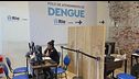 Dal Brasile arriva l'allarme dengue