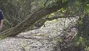 Frane in Toscana, ancora sfollati